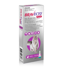 Bravecto® Plus para Gatos